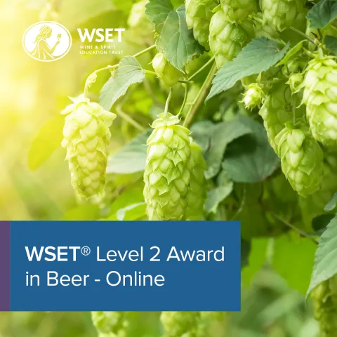 WSET Level 2 Award in Beer