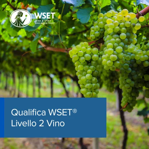 WSET Livello 2 Vino