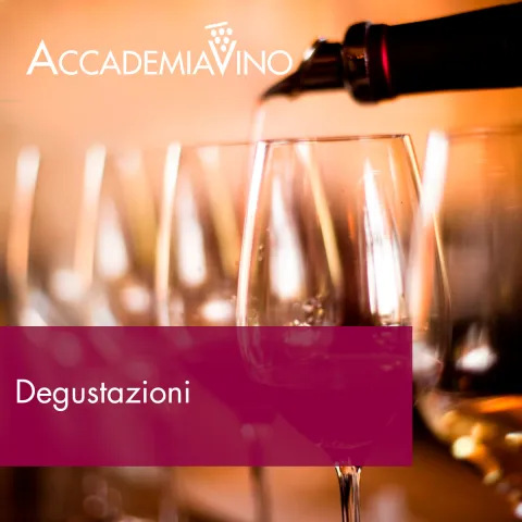 Degustazioni vino