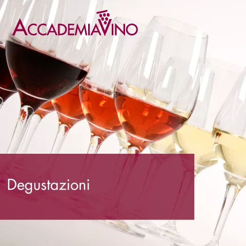 Degustazioni vino