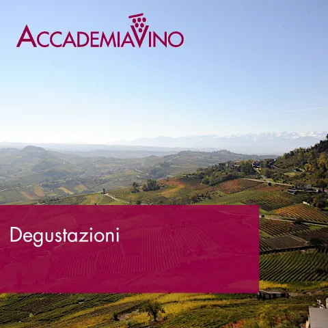 Degustazioni – Regioni: Piemonte