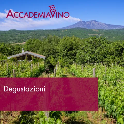 Degustazioni – Regioni: Sicilia e Sardegna