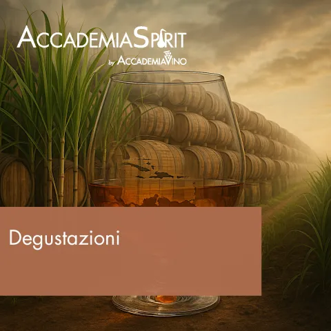 Degustazioni – Distillati: rum