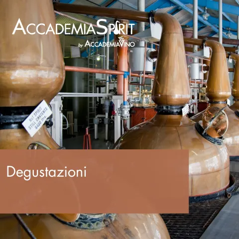 Degustazioni – Distillati: whisky & whiskey