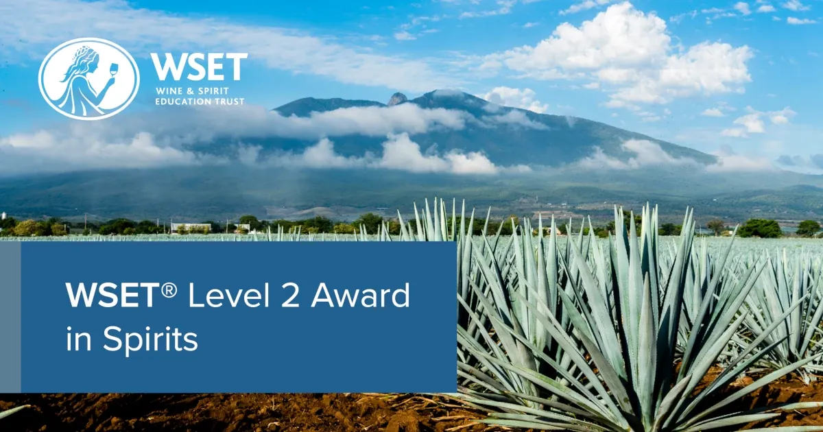 WSET Level 2 Award in Beer